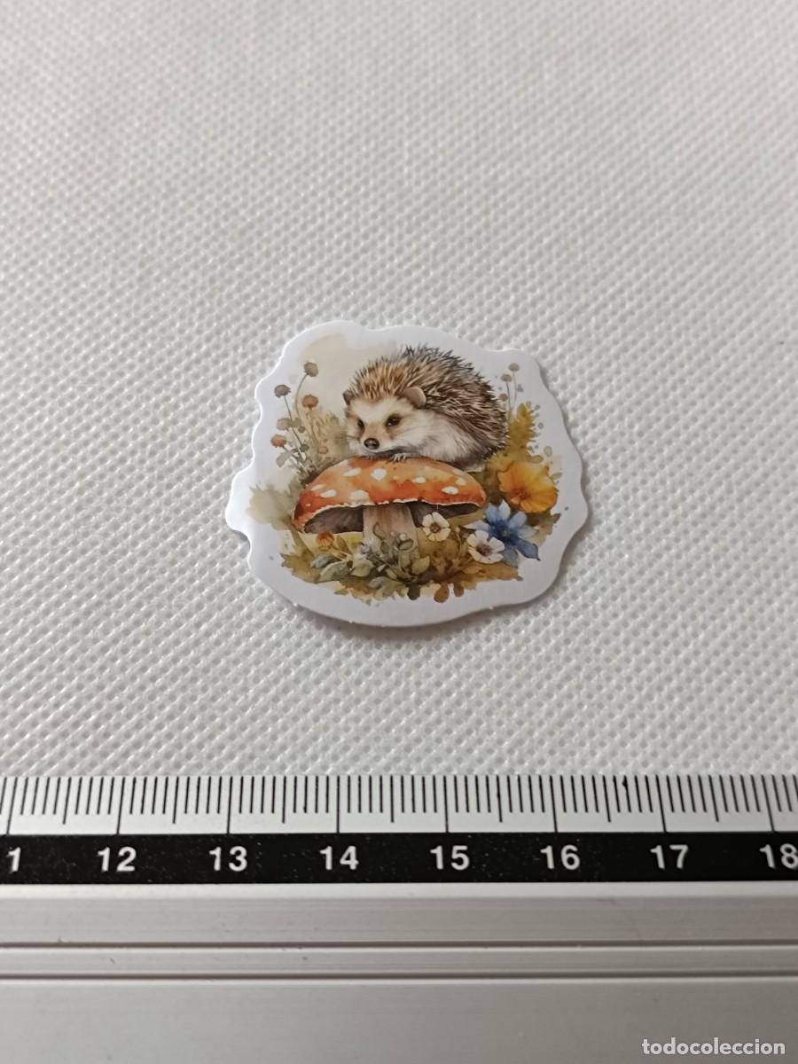Autocolantes de cole&ccedil;&atilde;o: BONITA PEGATINA, STICKER, ENCANTADOR ERIZO PARA SCRAPBOOKING, MANUALIDADES, KAWAII N&Uacute;MERO 18