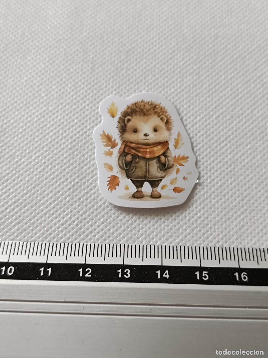 Pegatinas de colecci&oacute;n: BONITA PEGATINA, STICKER, ENCANTADOR ERIZO PARA SCRAPBOOKING, MANUALIDADES, KAWAII N&Uacute;MERO 19