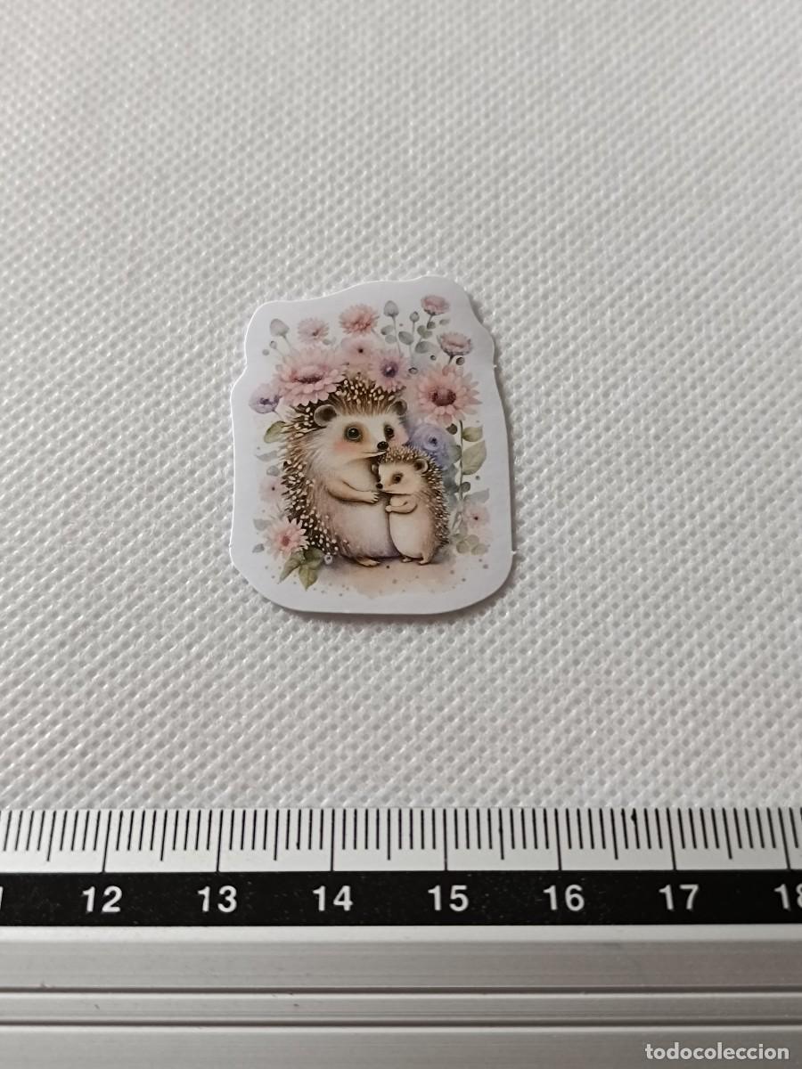 Autocolantes de cole&ccedil;&atilde;o: BONITA PEGATINA, STICKER, ENCANTADOR ERIZO PARA SCRAPBOOKING, MANUALIDADES, KAWAII N&Uacute;MERO 20
