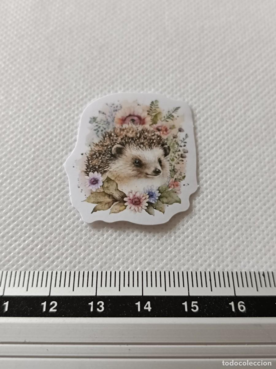 Pegatinas de colecci&oacute;n: BONITA PEGATINA, STICKER, ENCANTADOR ERIZO PARA SCRAPBOOKING, MANUALIDADES, KAWAII N&Uacute;MERO 21