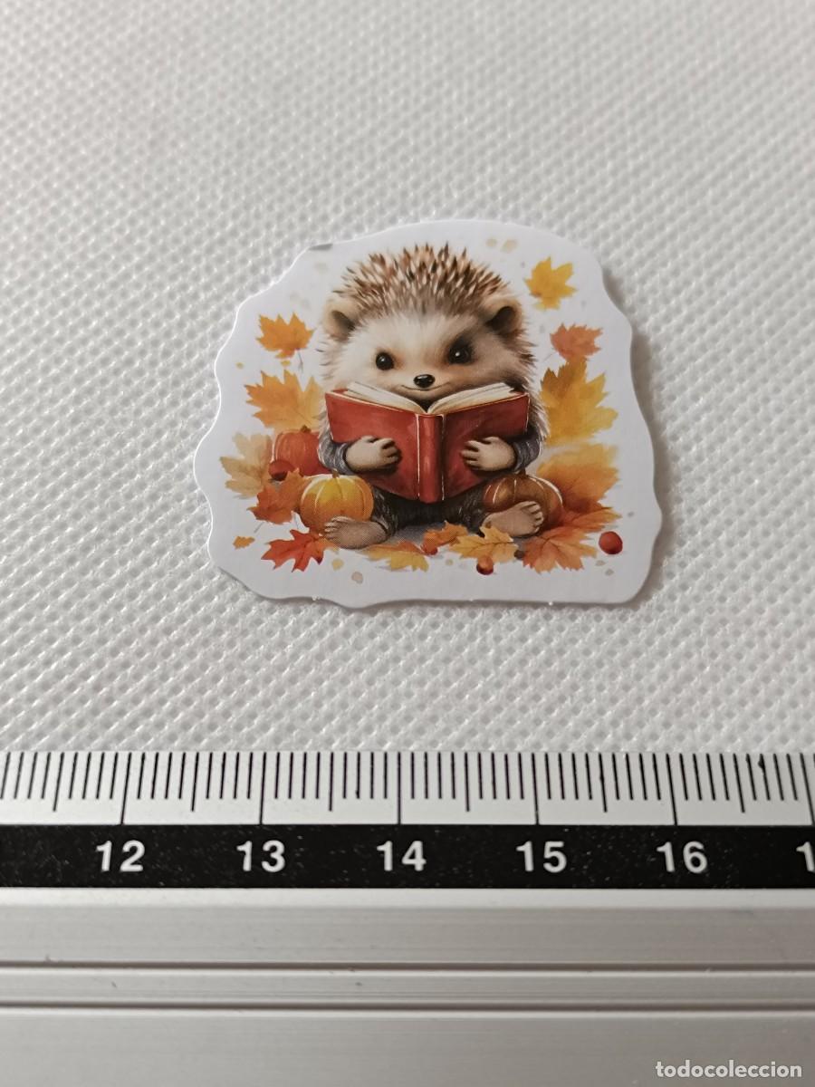 Autocolantes de cole&ccedil;&atilde;o: BONITA PEGATINA, STICKER, ENCANTADOR ERIZO PARA SCRAPBOOKING, MANUALIDADES, KAWAII N&Uacute;MERO 22