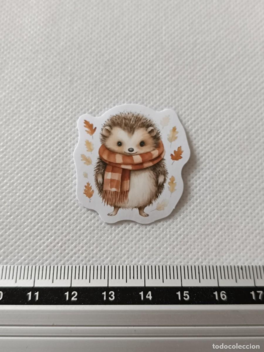 Pegatinas de colecci&oacute;n: BONITA PEGATINA, STICKER, ENCANTADOR ERIZO PARA SCRAPBOOKING, MANUALIDADES, KAWAII N&Uacute;MERO 23