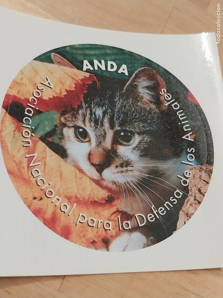Pegatinas de colecci&oacute;n: ANDA ASOCIACION NACIONAL DEFENSA ANIMALES PEGATINA 5 CMS -------- SIN PEGAR GATO A&Ntilde;OS 80 ECOLOGIA