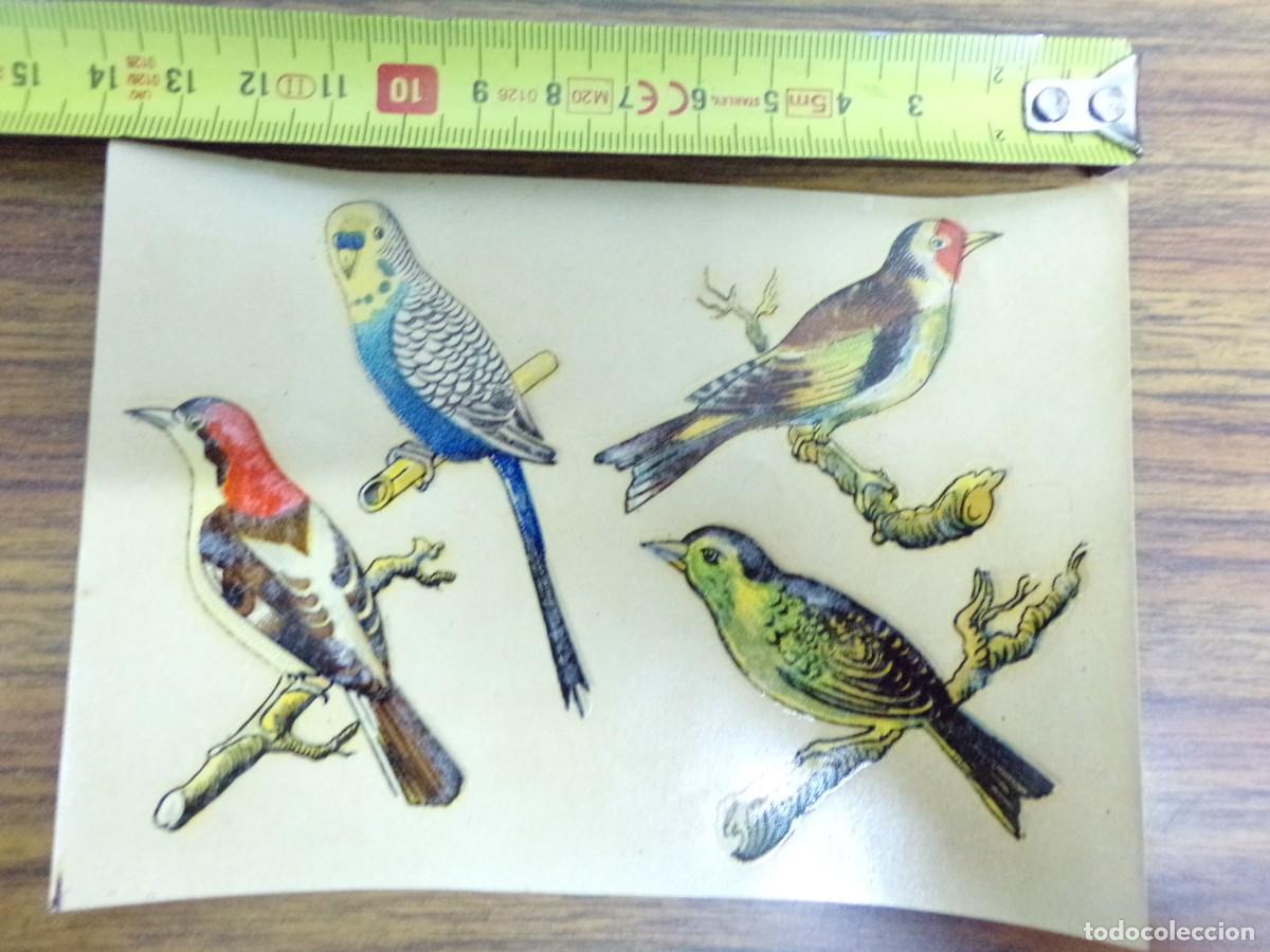 Collection stickers: Pegatina, calcomania antigua. Adhesivo. Calcomanias industriales nubiola. n&ordm;30