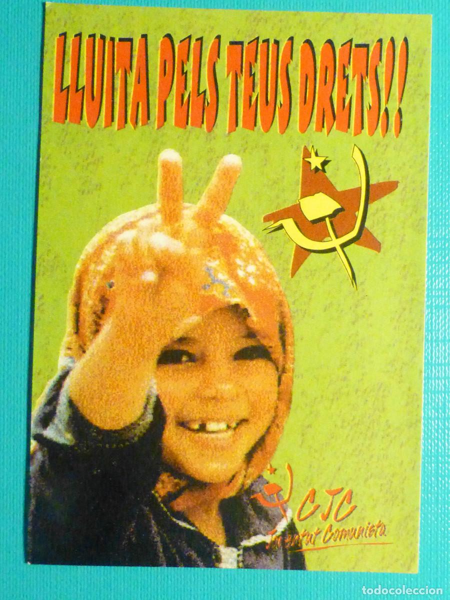 Pegatinas de colecci&oacute;n: Pegatina Activismo - Liberaci&oacute;n Palestina,No es un Terrorista, es Luchador con piedras, CJC, 7x10 cm