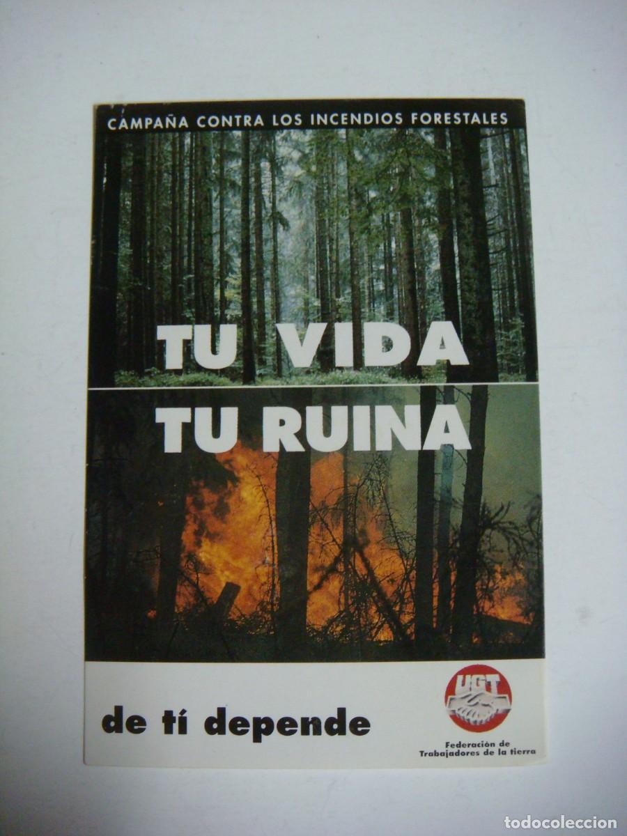 Sammlung von Aufklebern: PEGATINA TU VIDA TU RUINA U.G.T.-CAJ-PEG- N&ordm;-4-SOB-N&ordm;-1