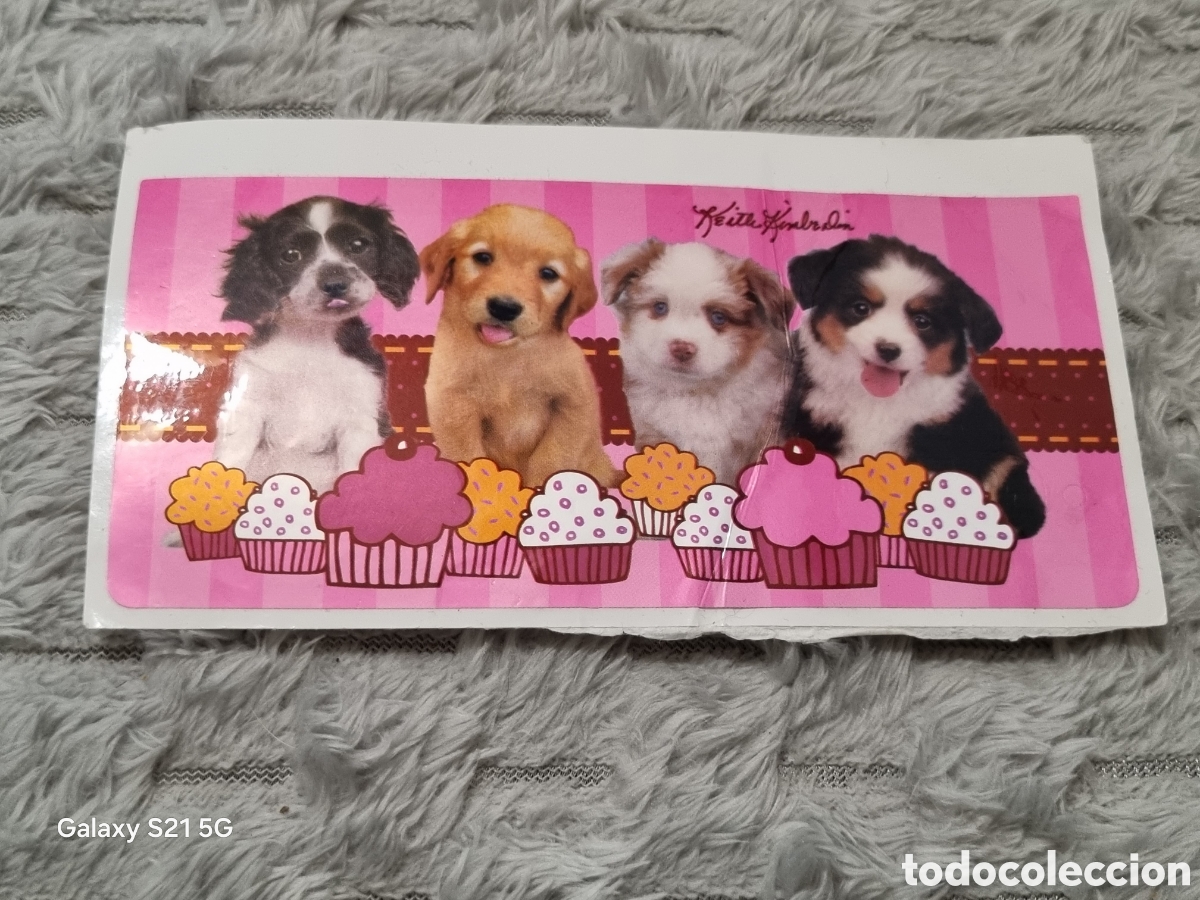Pegatinas de colecci&oacute;n: PEGATINA CON 4 PERRITOS