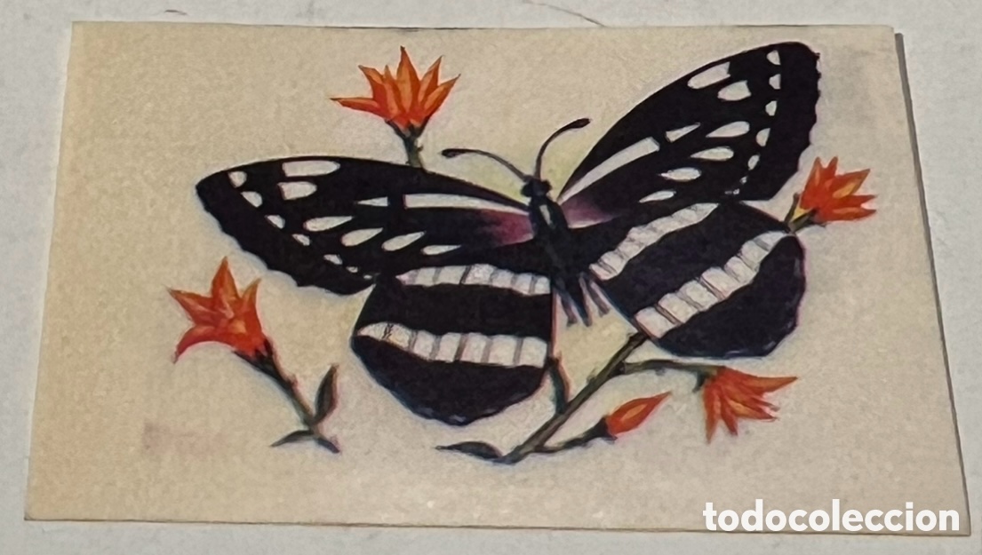 Pegatinas de colecci&oacute;n: Pegatina. Mariposa con flores. A&ntilde;os 70.