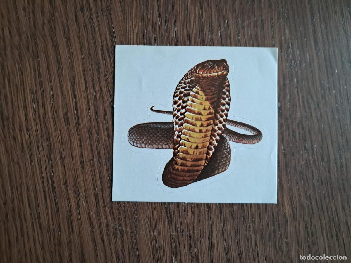 Pegatinas de colecci&oacute;n: pegatina, serpiente, Cobra. - Foto 1
