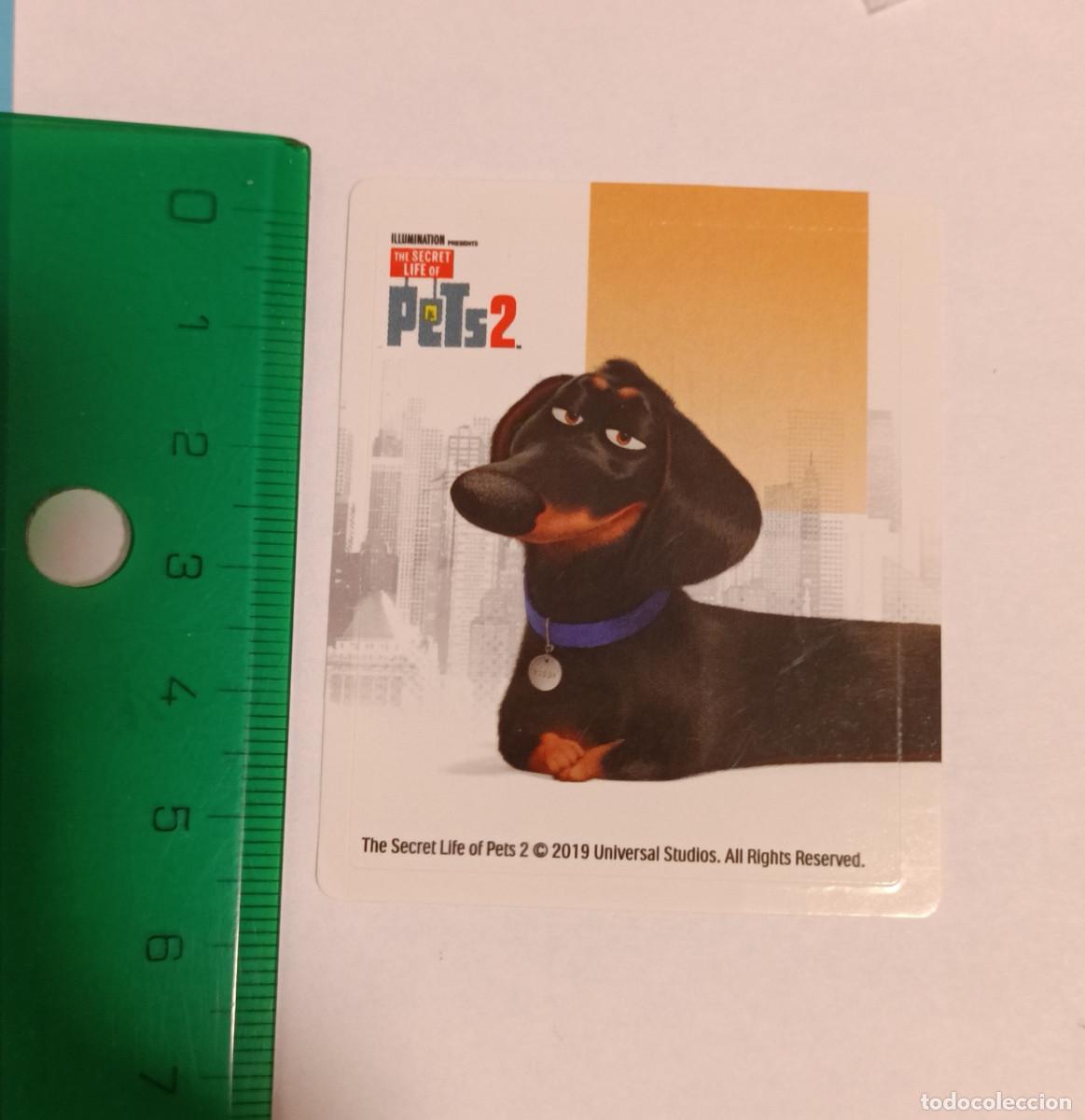 Pegatinas de colecci&oacute;n: kinder cromo pegatina chocolate pets mascotas pelicula dreamworks sticker perro salchicha