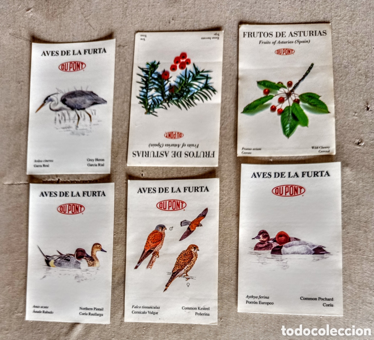 Pegatinas de colecci&oacute;n: Lote 6 pegatinas Dupont Asturias