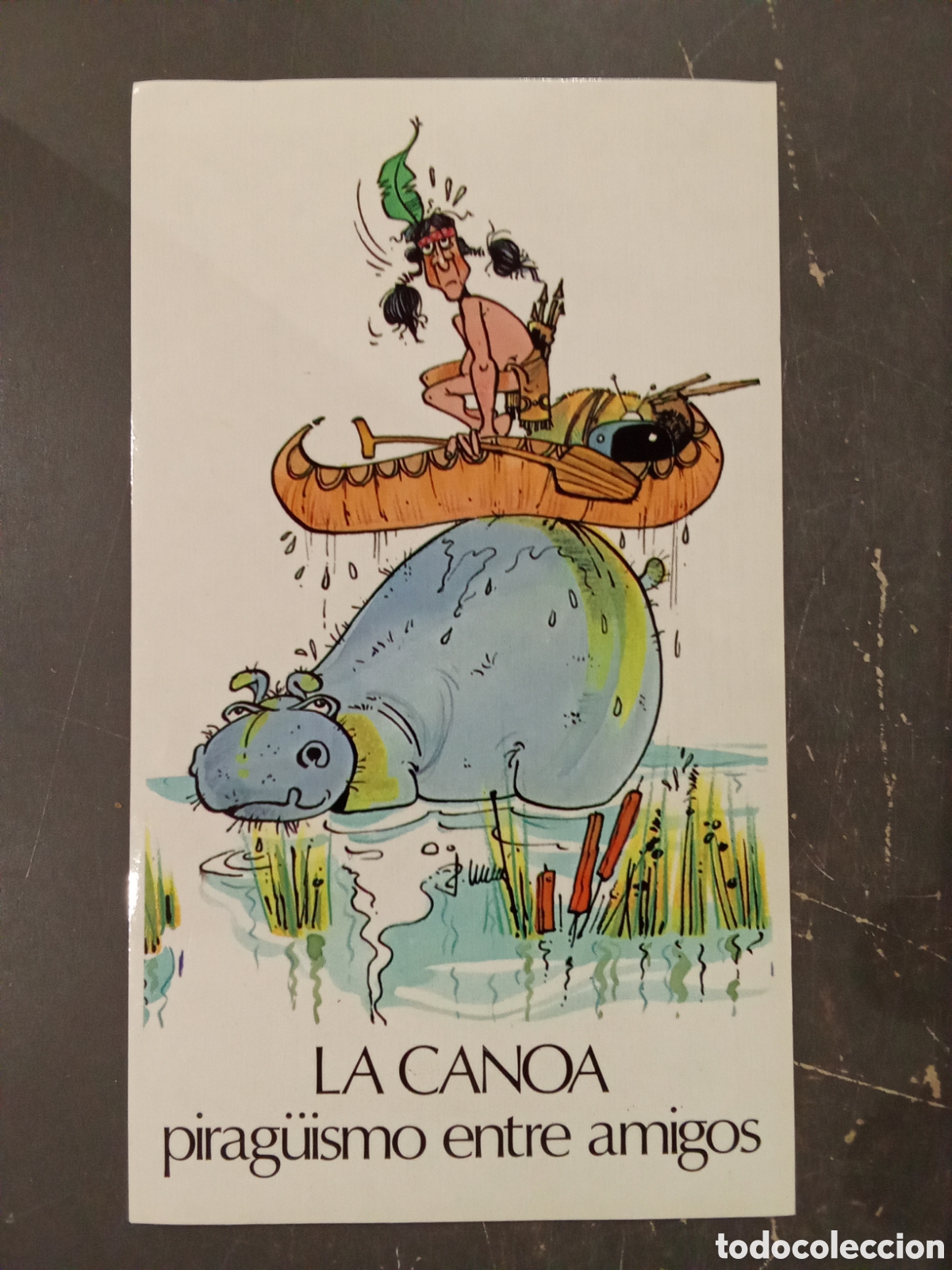 Pegatinas de colecci&oacute;n: Pegatina La Canoa Pirag&uuml;ismo entre amigos