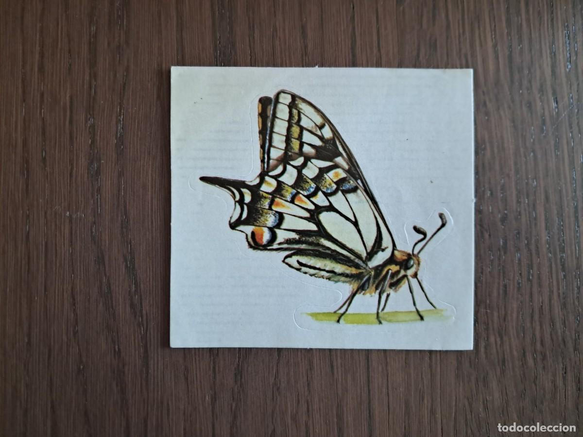 Pegatinas de colecci&oacute;n: pegatina de mariposa.