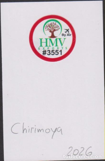 Pegatinas de colecci&oacute;n: pegatina fruta CHIRIMOYA HMV adhesivo adhesiu enganxina fruit etiqueta SOY.YO
