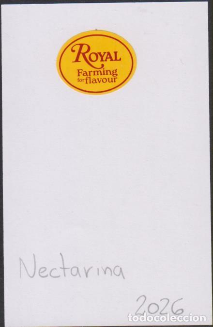 Pegatinas de colecci&oacute;n: pegatina fruta NECTARINA ROYAL adhesivo adhesiu enganxina fruit etiqueta SOY.YO
