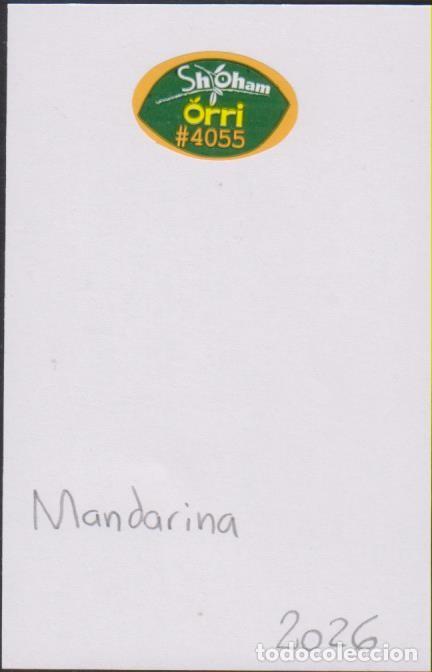 Pegatinas de colecci&oacute;n: pegatina fruta MANDARINA SH OHAM ORRI adhesivo adhesiu enganxina fruit etiqueta SOY.YO