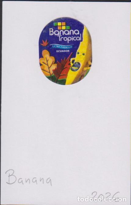 Pegatinas de colecci&oacute;n: pegatina fruta BANANA TROPICAL ECUADOR adhesivo adhesiu enganxina fruit etiqueta SOY.YO