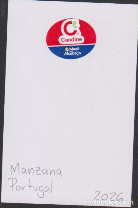 Pegatinas de colecci&oacute;n: pegatina fruta MANZANA CANDINE adhesivo adhesiu enganxina fruit etiqueta SOY.YO