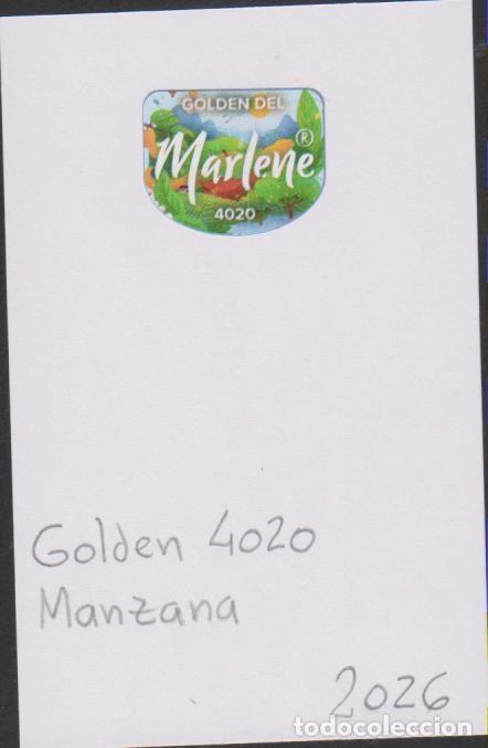 Autocollants de collection: pegatina fruta MANZANA MARLENE GOLDEN 4020 adhesivo adhesiu enganxina fruit etiqueta SOY.YO
