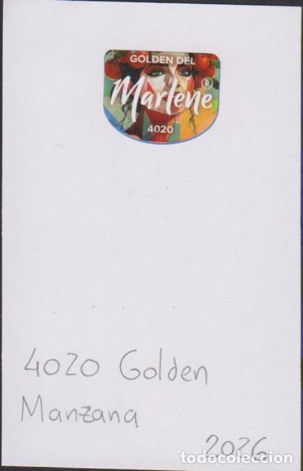 Pegatinas de colecci&oacute;n: pegatina fruta MANZANA MARLENE GOLDEN 4020 adhesivo adhesiu enganxina fruit etiqueta SOY.YO
