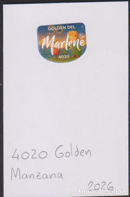 Pegatinas de colecci&oacute;n: pegatina fruta MANZANA MARLENE GOLDEN 4020 adhesivo adhesiu enganxina fruit etiqueta SOY.YO