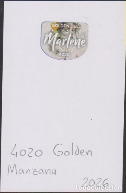 Pegatinas de colecci&oacute;n: pegatina fruta MANZANA MARLENE GOLDEN 4020 adhesivo adhesiu enganxina fruit etiqueta SOY.YO