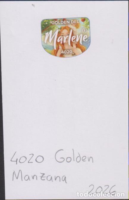 Pegatinas de colecci&oacute;n: pegatina fruta MANZANA MARLENE GOLDEN 4020 adhesivo adhesiu enganxina fruit etiqueta SOY.YO