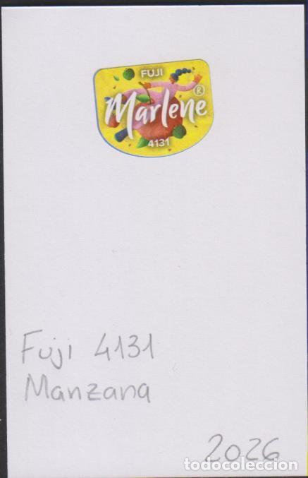 Pegatinas de colecci&oacute;n: pegatina fruta MANZANA MARLENE FUJI 4131 adhesivo adhesiu enganxina fruit etiqueta SOY.YO