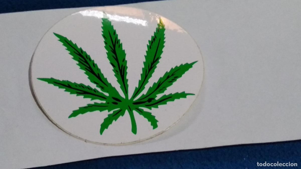 Pegatinas de colecci&oacute;n: PEGATINA VINILO ( marihuana O MARIGUANA )DE LOS 90 - NUEVA