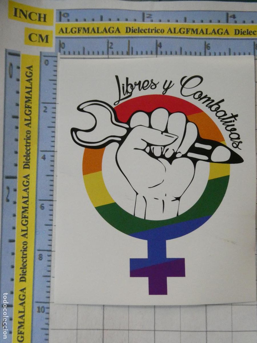 Pegatinas de colecci&oacute;n: PEGATINA POL&Iacute;TICO SINDICAL. SINDICATO DE ESTUDIANTES MUJERES LGTBI LIBRES COMBATIVAS 309