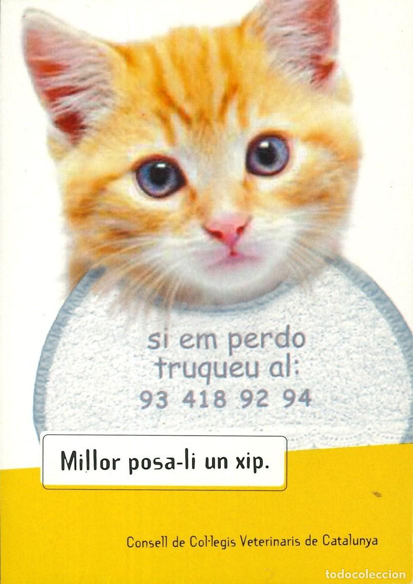 Pegatinas de colecci&oacute;n: PEGATINA - ADHESIVO - CATALANA - CONSELL DE COL-LEGIS VETERINARIS DE CATALUNYA - MILLOR POSA-LI XIP