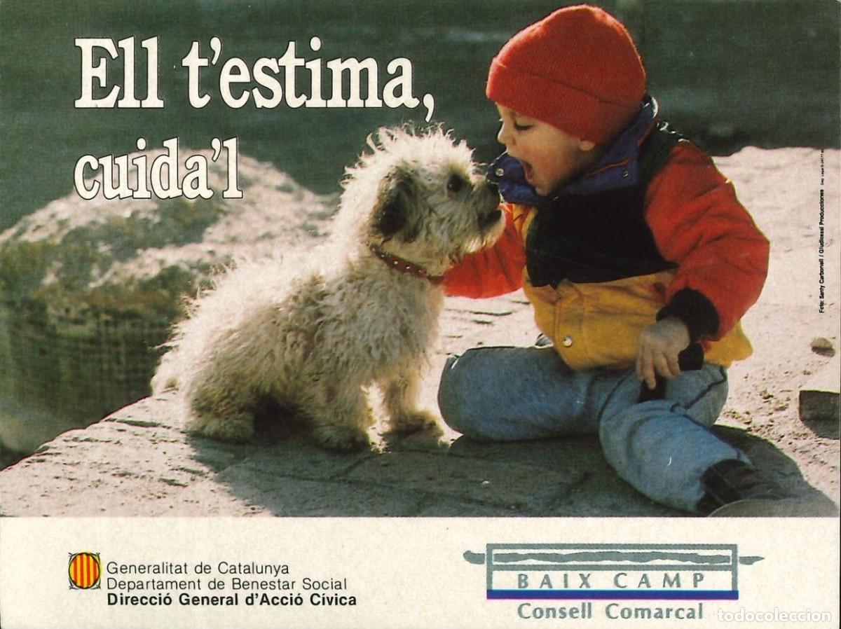 Pegatinas de colecci&oacute;n: PEGATINA - ADHESIVO - CATALANA - BAIX CAMP - CONSELL COMARCAL - ELL T'ESTIMA, CUIDA'L