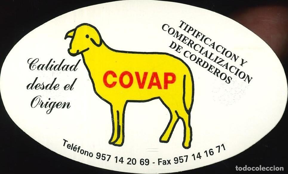 Pegatinas de colecci&oacute;n: PEGATINA - ADHESIVO - ALIMENTACI&Oacute;N - CORDEROS - COVAP
