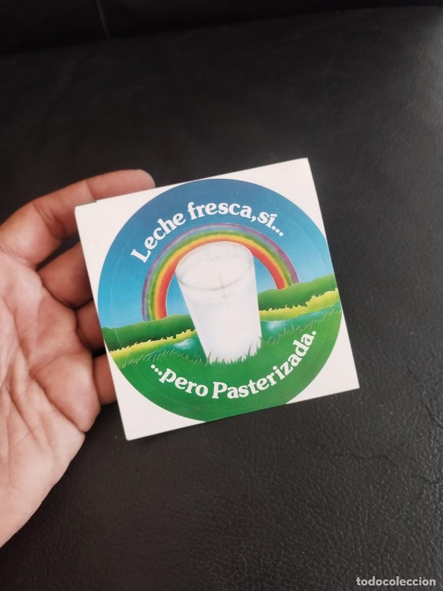 Pegatinas de colecci&oacute;n: Pegatina, adhesivo de publicitaria leche fresca, si... pero pasterizada.