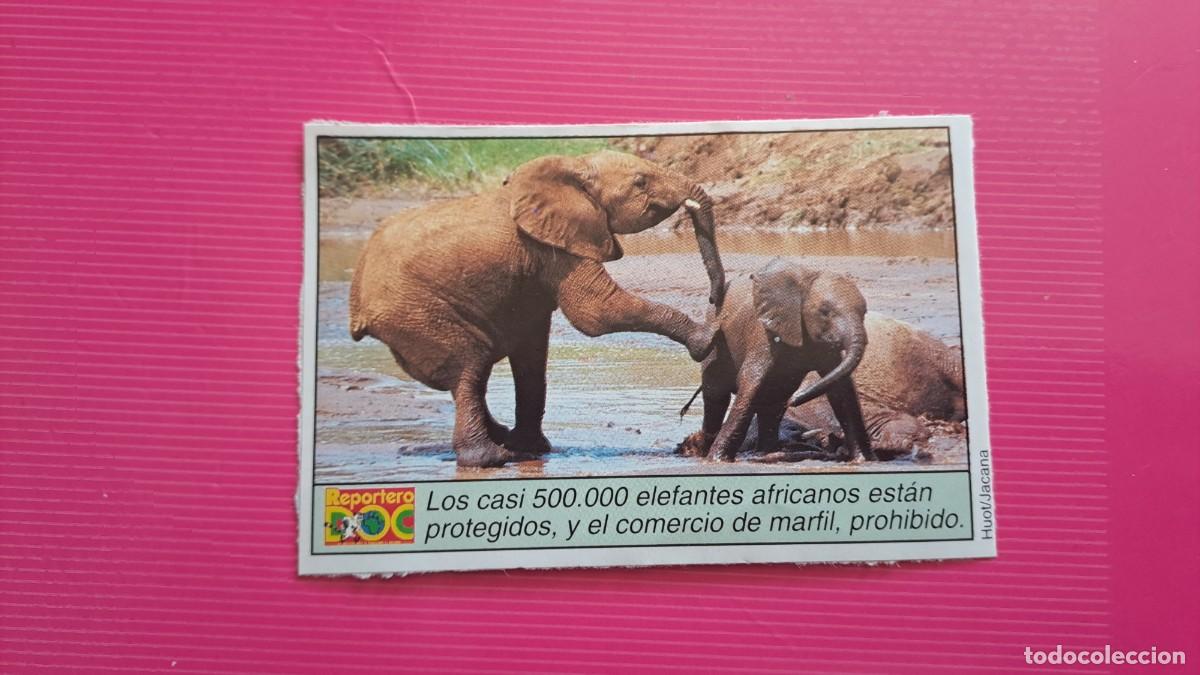 Pegatinas de colecci&oacute;n: ANTIGUA PEGATINA ELEFANTES (10 cm) REVISTA REPORTERO DOO