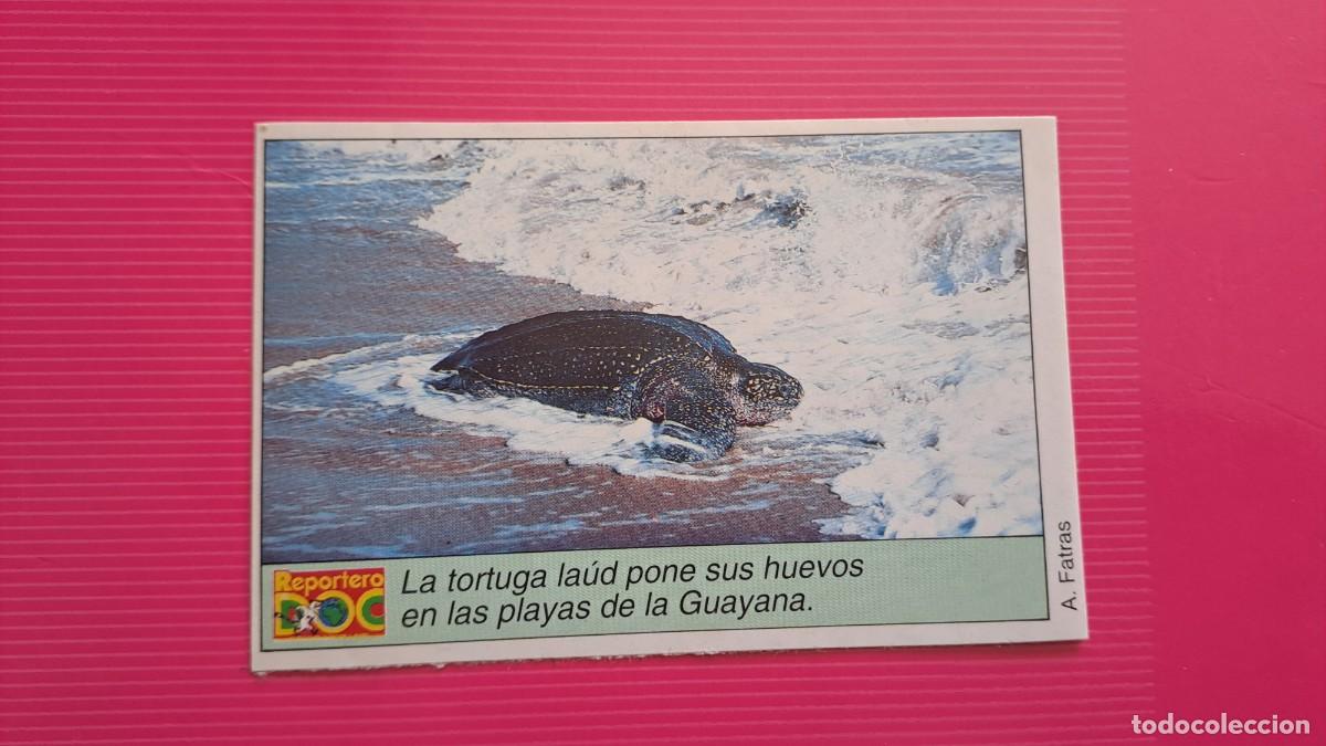 Pegatinas de colecci&oacute;n: ANTIGUA PEGATINA TORTUGA LAUD (10 cm) REVISTA REPORTERO DOO