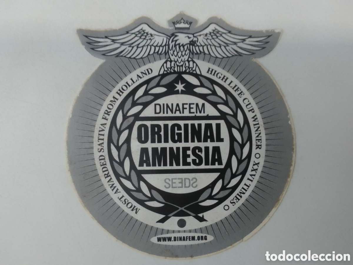 Pegatinas de colecci&oacute;n: Pegatina ORIGINAL AMNESIA.