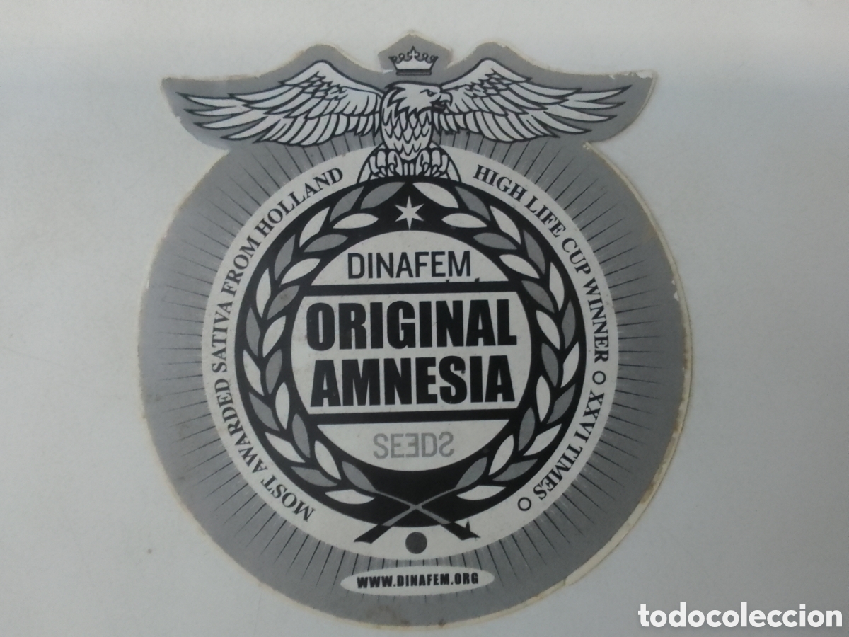 Pegatinas de colecci&oacute;n: Pegatina ORIGINAL AMNESIA.