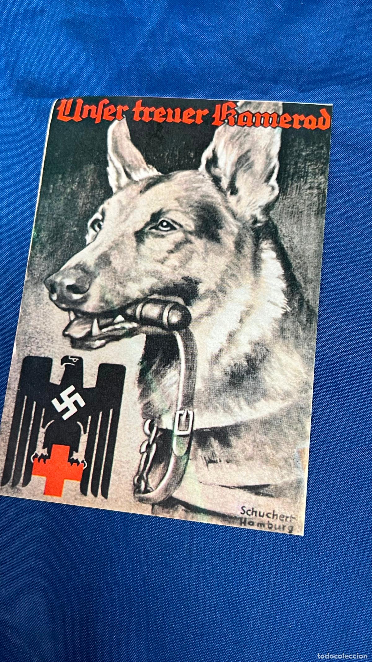 Pegatinas de colecci&oacute;n: pegatina politica nazi nacional socialista de un corresponsal de cedade