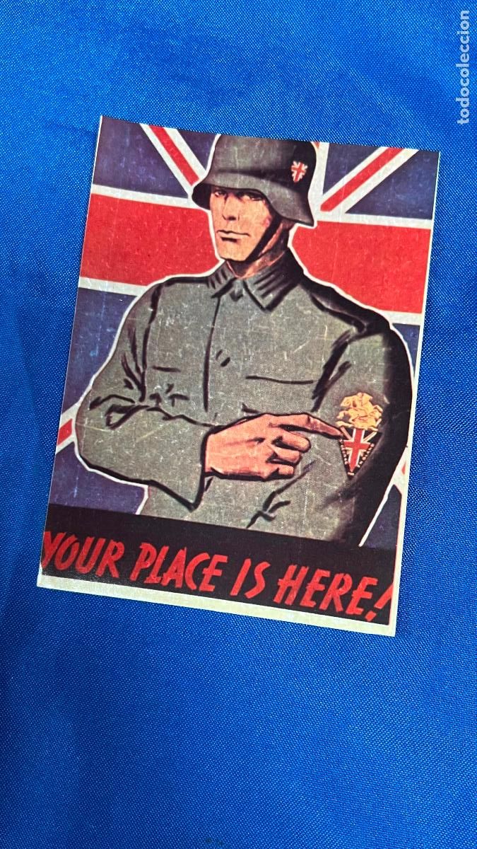 Pegatinas de colecci&oacute;n: pegatina politica nazi nacional socialista segunda guerra mundial cedade waffen ss britanica