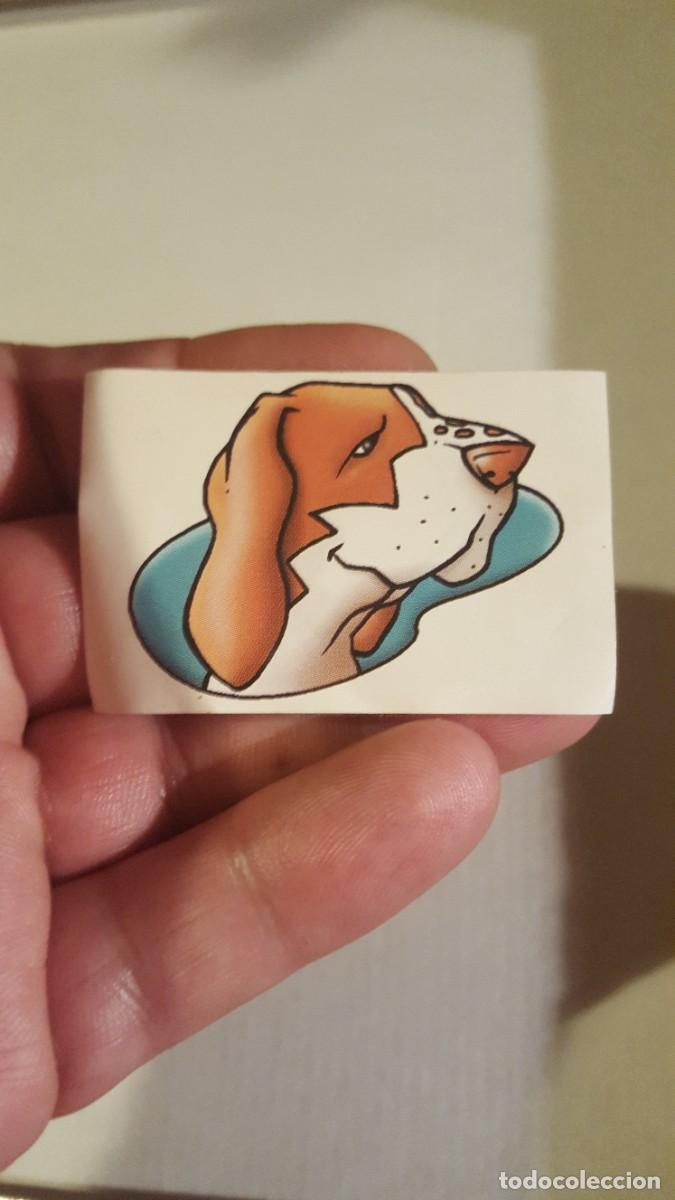 Pegatinas de colecci&oacute;n: Antiguo cromo/pegatina Tattoo adhesivo, Bollycao amigos y colegas 33, Perdiguero de Burgos.