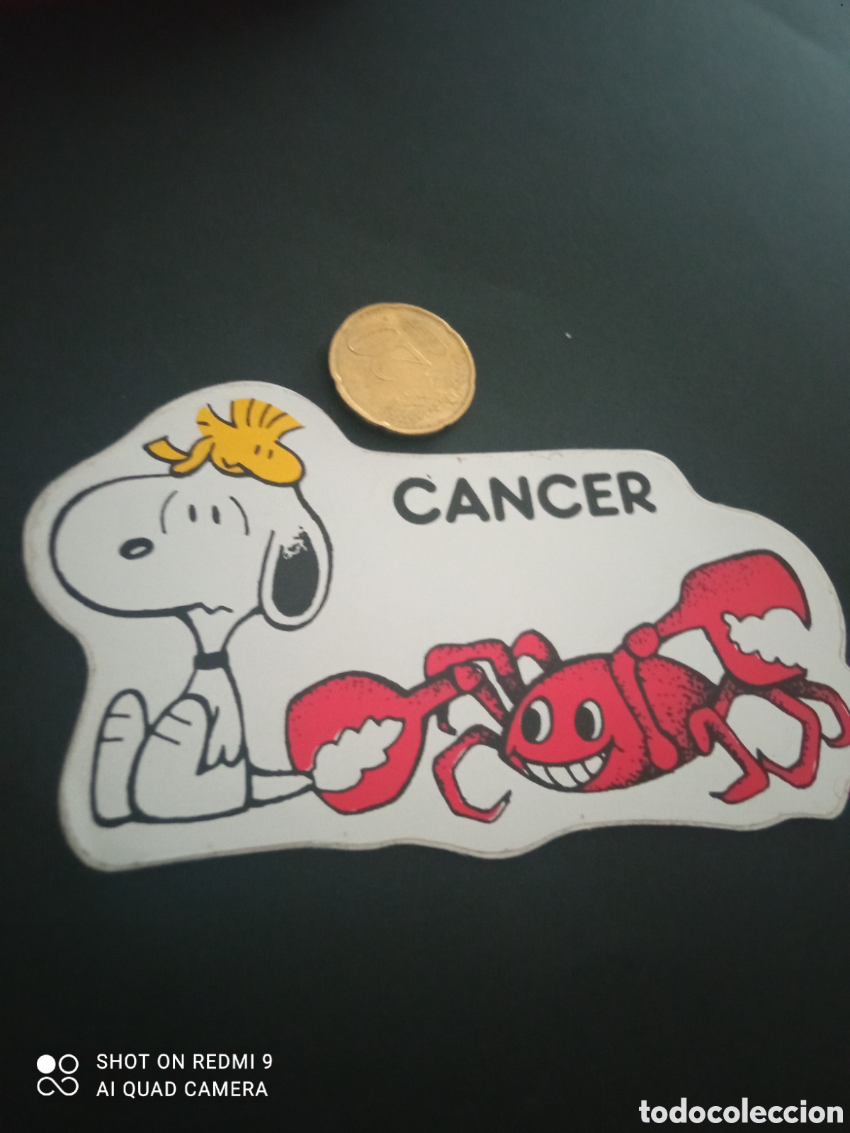 Pegatinas de colecci&oacute;n: PEGATINA A&Ntilde;OS 80s sloopy c&aacute;ncer