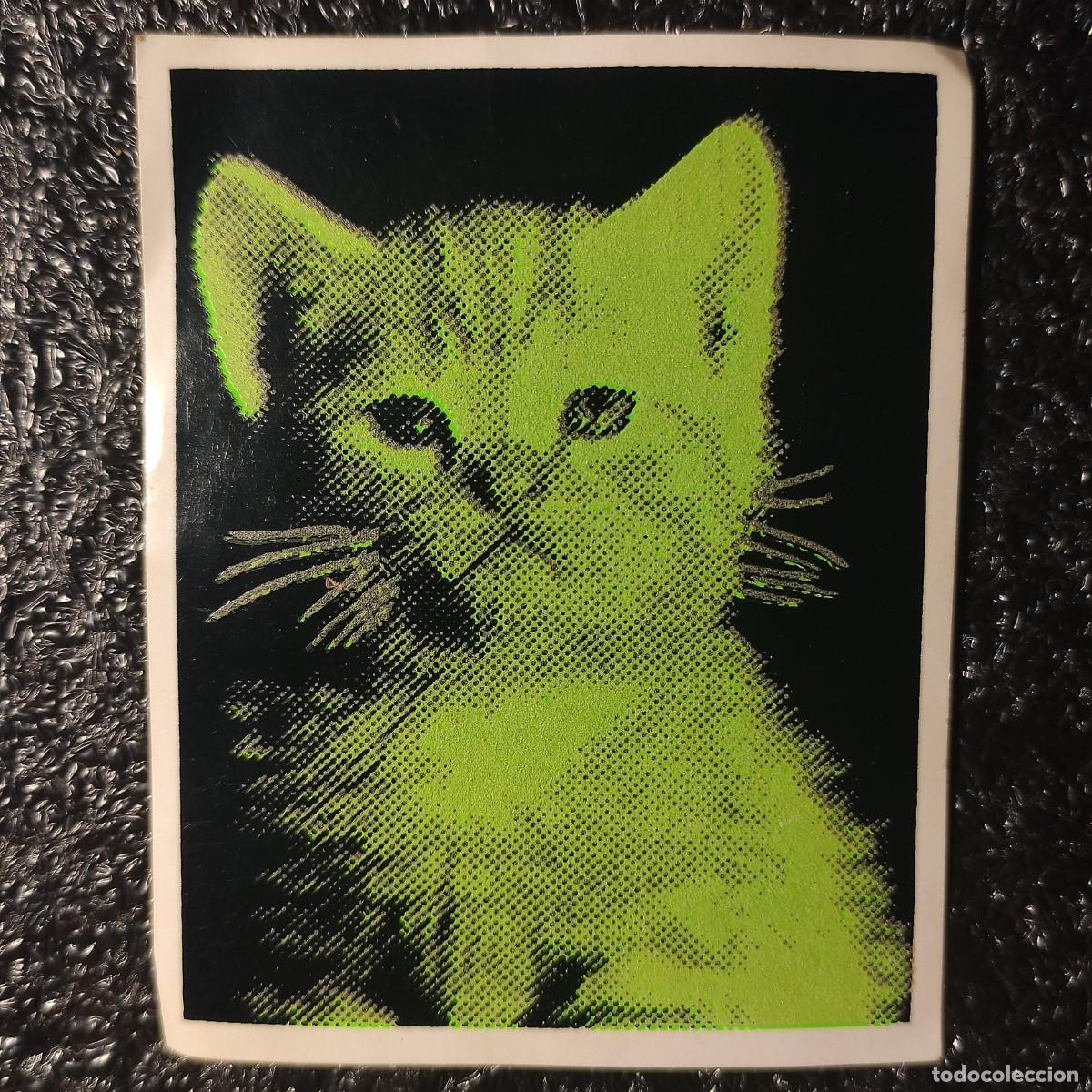 Sammlung von Aufklebern: PEGATINA , GATO FLUORESCENTE ** NEW GENERATION ** FASTPRINT ** CRACK-BACK