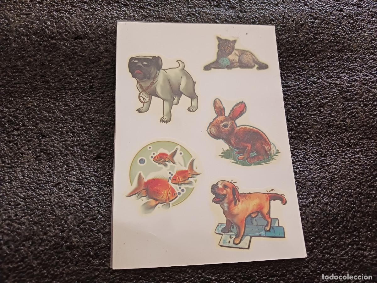 Sammlung von Aufklebern: calcomanias o tatuajes temporales de holo toyz animales
