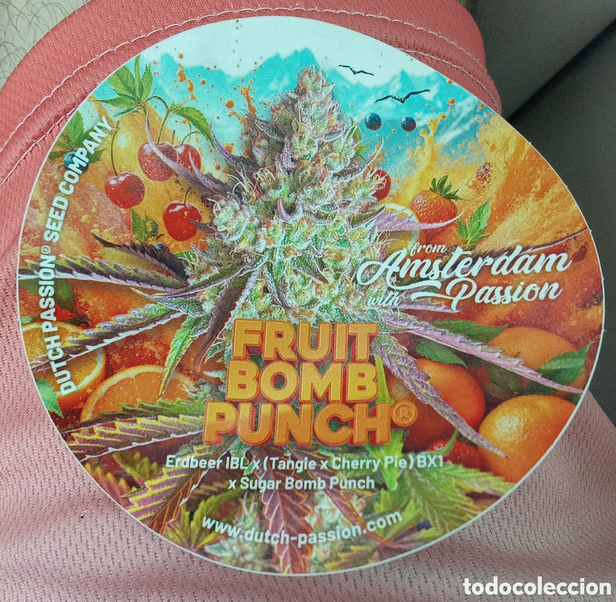 Pegatinas de colecci&oacute;n: PEGATINA DUTCH PASSION CANNABIS GRANDE