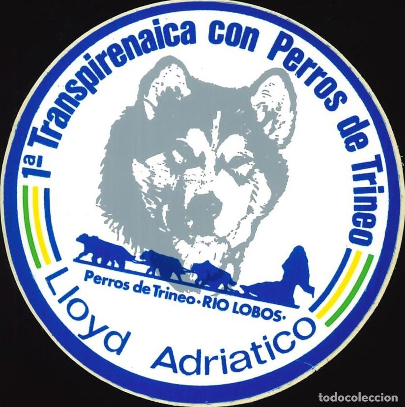 Pegatinas de colecci&oacute;n: PEGATINA - ADHESIVO - SEGUROS - LLOYD ADRIATICO