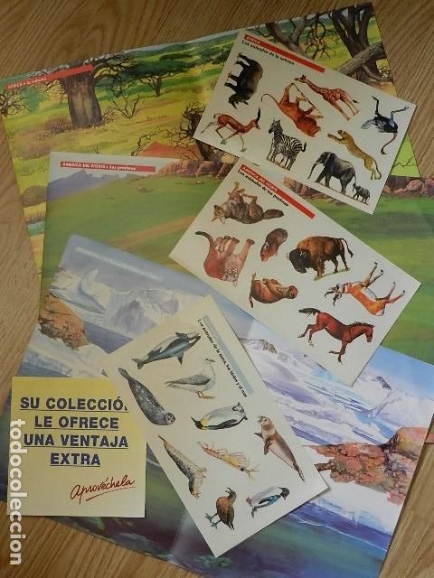 Pegatinas de colecci&oacute;n: Posters y pegatinas Africa Sabana, Antartida Tierras hielos y mar y Am&eacute;rica del Norte Praderas