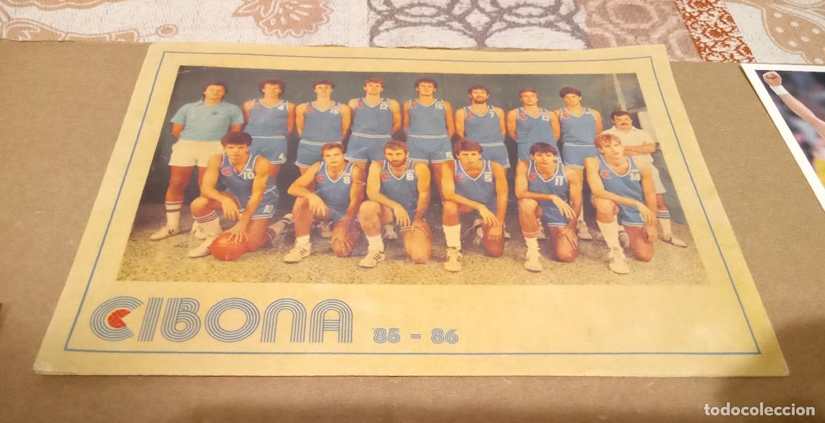 Pegatinas de colecci&oacute;n: Pegatina Sticker Adhesivo Drazen Petrovic Cibona Zibona Jugoslavia 85 86 1985 1986 Firmada Signed