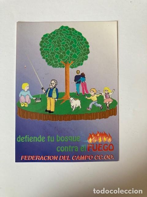 Pegatinas de colecci&oacute;n: PEGATINA DEFIENDE TU BOSQUE CONTRA EL FUEGO - CC.OO.