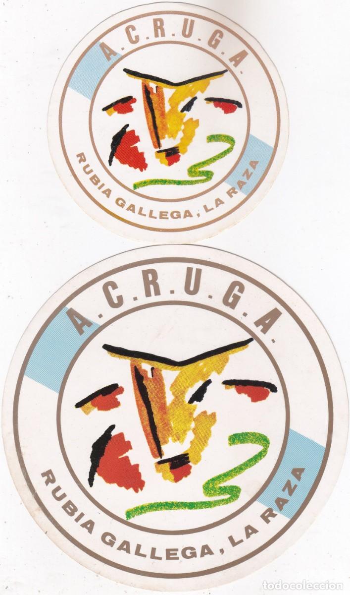 Pegatinas de colecci&oacute;n: 2 PEGATINAS A.C.R.U.G.A. (ASOCIACION NACIONAL DE CRIADORES DE GANADO VACUNO ... RAZA RUBIA GALLEGA)